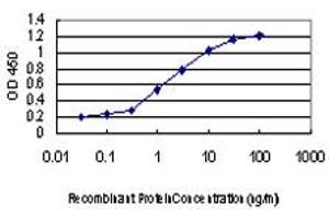 Detection limit for recombinant GST tagged MAPKAPK3 is approximately 0. (MAPKAP Kinase 3 抗体  (AA 272-382))
