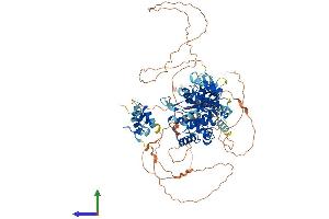 Protein Structure (PS) image for OTU Domain Containing 7B (OTUD7B) (AA 1-840) protein (His tag) (ABIN7562055)