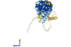 AlphaFold protein structure predicition of Human Recombinant ARMCX3 Protein, UniprotID Q9UH62 (ARMCX3 Protein (AA 1-379) (His tag))