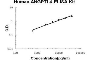 Human ANGPTL4 PicoKine ELISA Kit standard curve (ANGPTL4 ELISA 试剂盒)