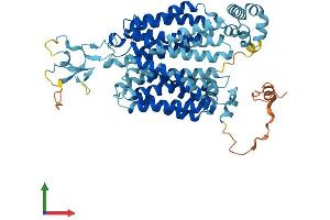 Protein Structure (PS) image for Solute Carrier Family 22 Member 6 (SLC22A6) (AA 1-563) protein (His tag) (ABIN7555311)