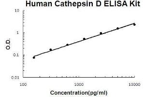 Human Cathepsin D PicoKine ELISA Kit standard curve (Cathepsin D ELISA 试剂盒)