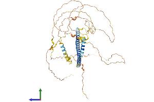 Protein Structure (PS) image for CAMP Responsive Element Binding Protein 3-Like 1 (CREB3L1) (AA 1-519) protein (His tag) (ABIN7553538)