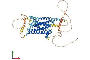 AlphaFold protein structure predicition of Mouse Recombinant Drd5 Protein, UniprotID Q8BLD9