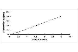 Typical standard curve (WSB1 ELISA 试剂盒)