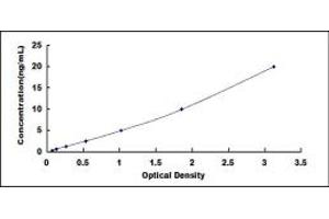 Typical standard curve (CPSF1 ELISA 试剂盒)