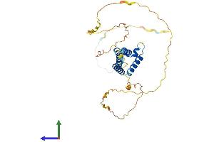 AlphaFold protein structure predicition of Mouse Recombinant Heyl Protein, UniprotID Q9DBX7