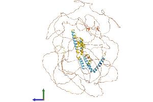 AlphaFold protein structure predicition of Mouse Recombinant Rtn4 Protein, UniprotID Q99P72