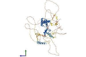 Protein Structure (PS) image for V-Myb Myeloblastosis Viral Oncogene Homolog (Avian)-Like 2 (MYBL2) (AA 1-700) protein (His tag) (ABIN7549629)
