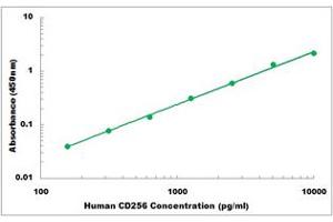 Representative Standard Curve