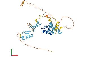 Protein Structure (PS) image for Zinc Finger Protein 346 (ZNF346) (AA 1-294) protein (His tag) (ABIN7545544)