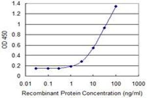 Detection limit for recombinant GST tagged ARFIP1 is 0. (ARFIP1 抗体  (AA 1-101))