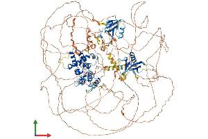 AlphaFold protein structure predicition of Mouse Recombinant Arhgap23 Protein, UniprotID Q69ZH9