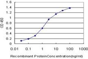 Detection limit for recombinant GST tagged STX4A is approximately 0. (Syntaxin 4 抗体  (AA 19-119))