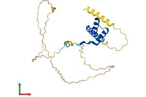 Protein Structure (PS) image for Homeobox A7 (HOXA7) (AA 1-229) protein (His tag) (ABIN7562728)