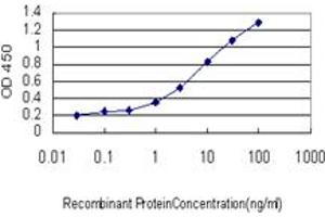 Detection limit for recombinant GST tagged PARP1 is approximately 0. (PARP1 抗体  (AA 1-100))