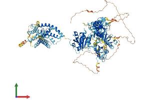AlphaFold protein structure predicition of Mouse Recombinant Kcnu1 Protein, UniprotID O54982