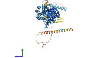 Protein Structure (PS) image for Synaptic Vesicle Glycoprotein 2A (SV2A) (AA 1-742) protein (His tag) (ABIN7561554)
