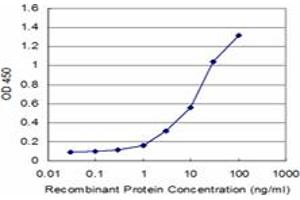 Detection limit for recombinant GST tagged PEX6 is approximately 0. (PEX6 抗体  (AA 881-980))