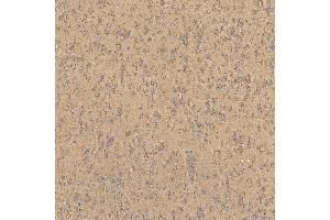 IHC analysis of TST using anti-TST antibody (ABIN7599105). (TST 抗体  (AA 1-220))