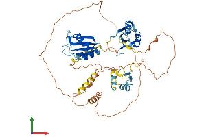 Protein Structure (PS) image for CUGBP, Elav-Like Family Member 4 (CELF4) (AA 1-486) protein (His tag) (ABIN7558301)