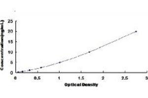 Typical standard curve (UTS2R ELISA 试剂盒)