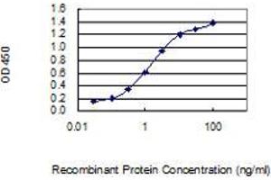 Detection limit for recombinant GST tagged PLP2 is 0. (PLP2 抗体  (AA 1-152))