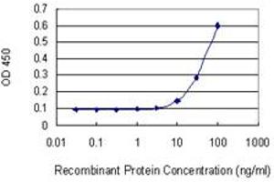 ELISA image for anti-Wingless-Type MMTV Integration Site Family, Member 5A (WNT5A) (AA 201-300) antibody (ABIN521385)