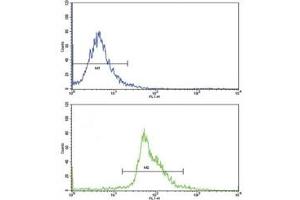 Flow Cytometry (FACS) image for anti-Paired Box 4 (PAX4) (AA 171-200) antibody (ABIN3032125)