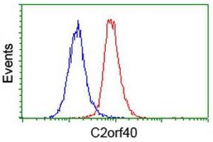 Image no. 2 for anti-Chromosome 2 Open Reading Frame 40 (C2orf40) antibody (ABIN1497048) (C2orf40 抗体)