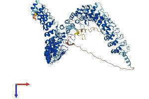 Ankyrin Repeat Domain 28 (ANKRD28) (AA 1-1053) protein (His tag)