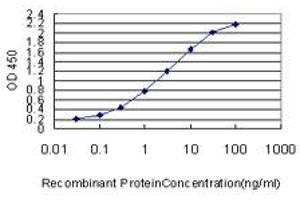 Detection limit for recombinant GST tagged ACSL5 is approximately 0. (ACSL5 抗体  (AA 91-186))
