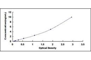 Typical standard curve (BTK ELISA 试剂盒)