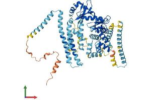 AlphaFold protein structure predicition of Mouse Recombinant Adck5 Protein, UniprotID Q80V03