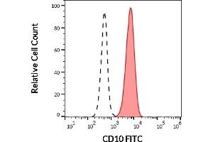 Separation of human CD10 positive neutrophil granulocytes (red-filled) from human CD10 negative lymphocytes (black-dashed) in flow cytometry analysis (surface staining) of human peripheral whole blood stained using anti-human CD10 (LT10) FITC (20 μL reagent / 100 μL of peripheral whole blood). (MME 抗体  (FITC))