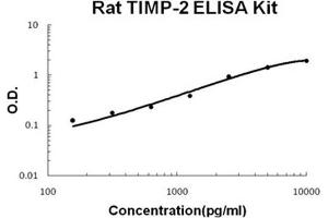 Rat TIMP-2 PicoKine ELISA Kit standard curve (TIMP2 ELISA 试剂盒)