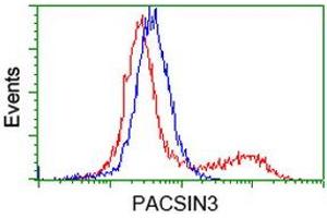 Image no. 3 for anti-Protein Kinase C and Casein Kinase Substrate in Neurons 3 (PACSIN3) antibody (ABIN1500011) (PACSIN3 抗体)