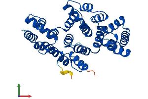 Protein Structure (PS) image for Annexin A10 (ANXA10) (AA 1-324) protein (His tag) (ABIN7552291)