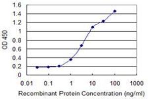 Detection limit for recombinant GST tagged ANGPTL6 is 0. (ANGPTL6 抗体  (AA 211-299))