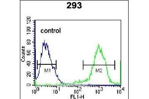 RHOXF2 Antibody (N-term) (ABIN656109 and ABIN2845449) flow cytometric analysis of 293 cells (right histogram) compared to a negative control cell (left histogram). (RHOXF2 抗体  (N-Term))