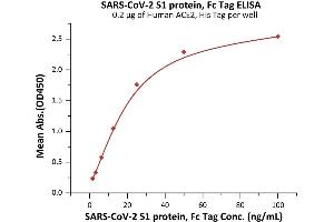 ELISA image for SARS-CoV-2 Spike S1 (B.1.351 - beta) (Active) protein (Fc Tag) (ABIN6992404)