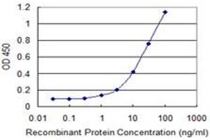 Detection limit for recombinant GST tagged FGFR4 is 0. (FGFR4 抗体  (AA 31-145))