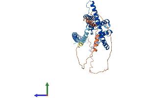 AlphaFold protein structure predicition of Human Recombinant KCNK3 Protein, UniprotID O14649 (KCNK3 Protein (AA 1-394) (His tag))