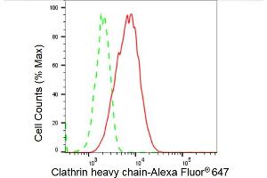 Flow cytometric analysis of Clathrin heavy chain expression in C2C12 cells using Clathrin heavy chain antibody (ABIN7798090), 1:2,000). (Recombinant Clathrin Heavy Chain (CLTC) 抗体)