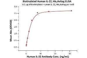 ELISA image for Interleukin 22 (IL22) (AA 34-179) (Active) protein (His tag,AVI tag,Biotin) (ABIN6973118)