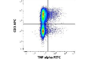 Flow cytometry multicolor intracellular staining pattern of human PHA stimulated peripheral blood mononuclear cells stained using anti-human TNF alpha (MAb11) FITC antibody (4 μL reagent per milion cells in 100 μL of cell suspension). (TNF alpha 抗体  (FITC))
