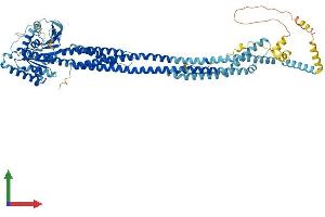Protein Structure (PS) image for Mitofusin 1 (MFN1) (AA 1-741) protein (His tag) (ABIN7554576)