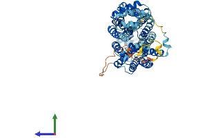 Protein Structure (PS) image for Solute Carrier Family 22 (Organic Anion Transporter), Member 13 (SLC22A13) (AA 1-551) protein (His tag) (ABIN7551615)