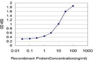 Detection limit for recombinant GST tagged RND2 is approximately 0. (RND2 抗体  (AA 1-169))