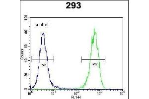 PTK9L Antibody (N-term) (ABIN655611 and ABIN2845093) flow cytometric analysis of 293 cells (right histogram) compared to a negative control cell (left histogram). (TWF2 抗体  (N-Term))